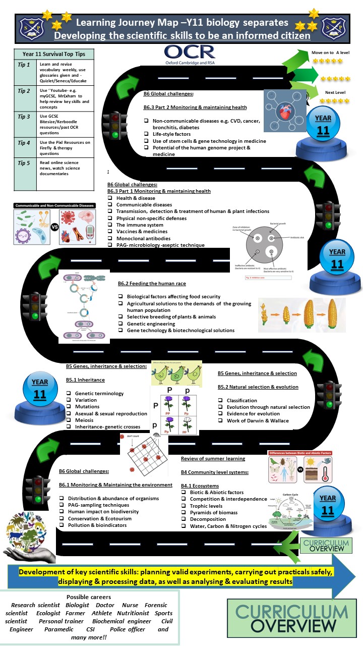 Year 11 Biology separates
