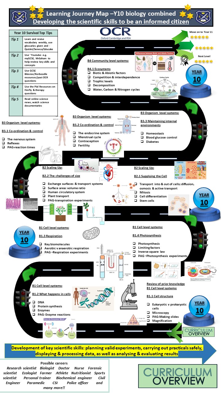 Year 10 Biology (Combined Science) learning journey