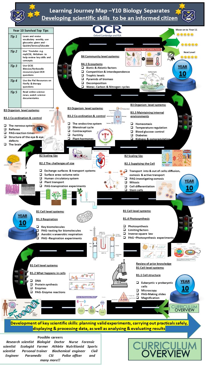 Year 10 Biology separates